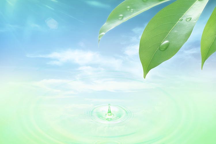 泌尿器科のイメージ画像